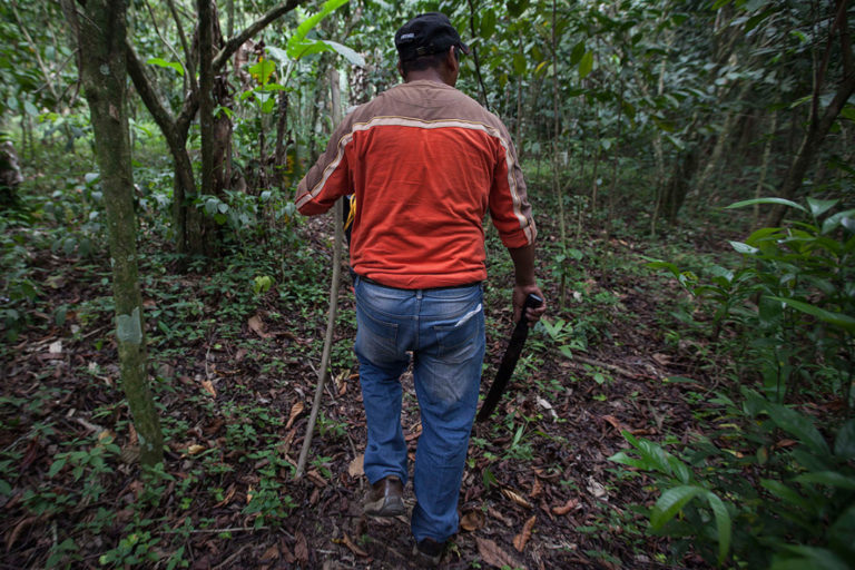 Hallan fosa clandestina en Minatitlán; familiares de desaparecidos esperan resultados