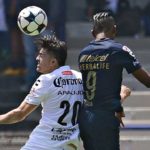 Duelo de felinos, Jaguares y Pumas se enfrentan en el zoque