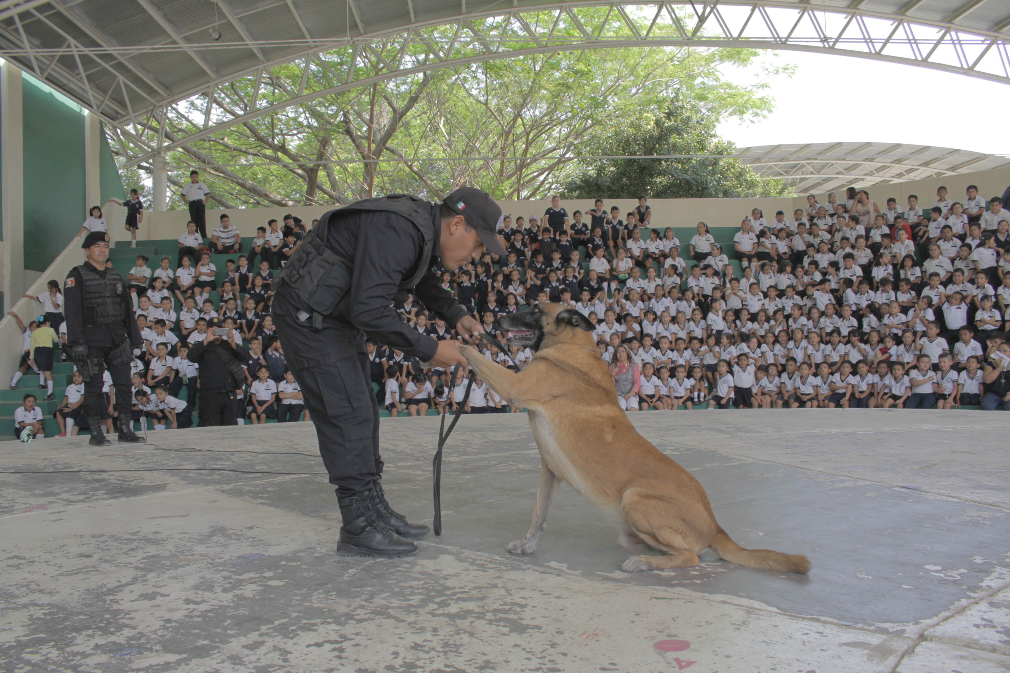 SSyPC lleva programas de vialidad, prevención y seguridad a escuelas