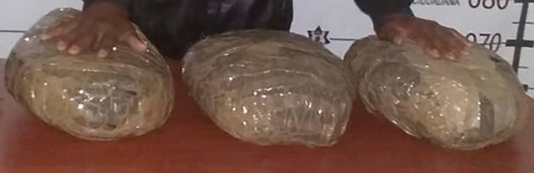 SSyPC asegura tres kilogramos de marihuana