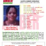 Se activa @aamber_ver para la búsqueda de DALIA MICHEL GARCIA HIPOLITO de 14 años originaria de Cosamaloapan, Ver.