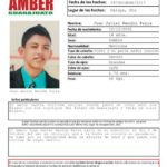 Se activa #AlertaAmber para localizar a este joven celayense de 14 años de edad.