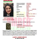 Se activa #AlertaAmber para localizar a la adolescente :  KARYME NOEMÍ LAGUNAS OCAMPO  ¿ La has visto ?