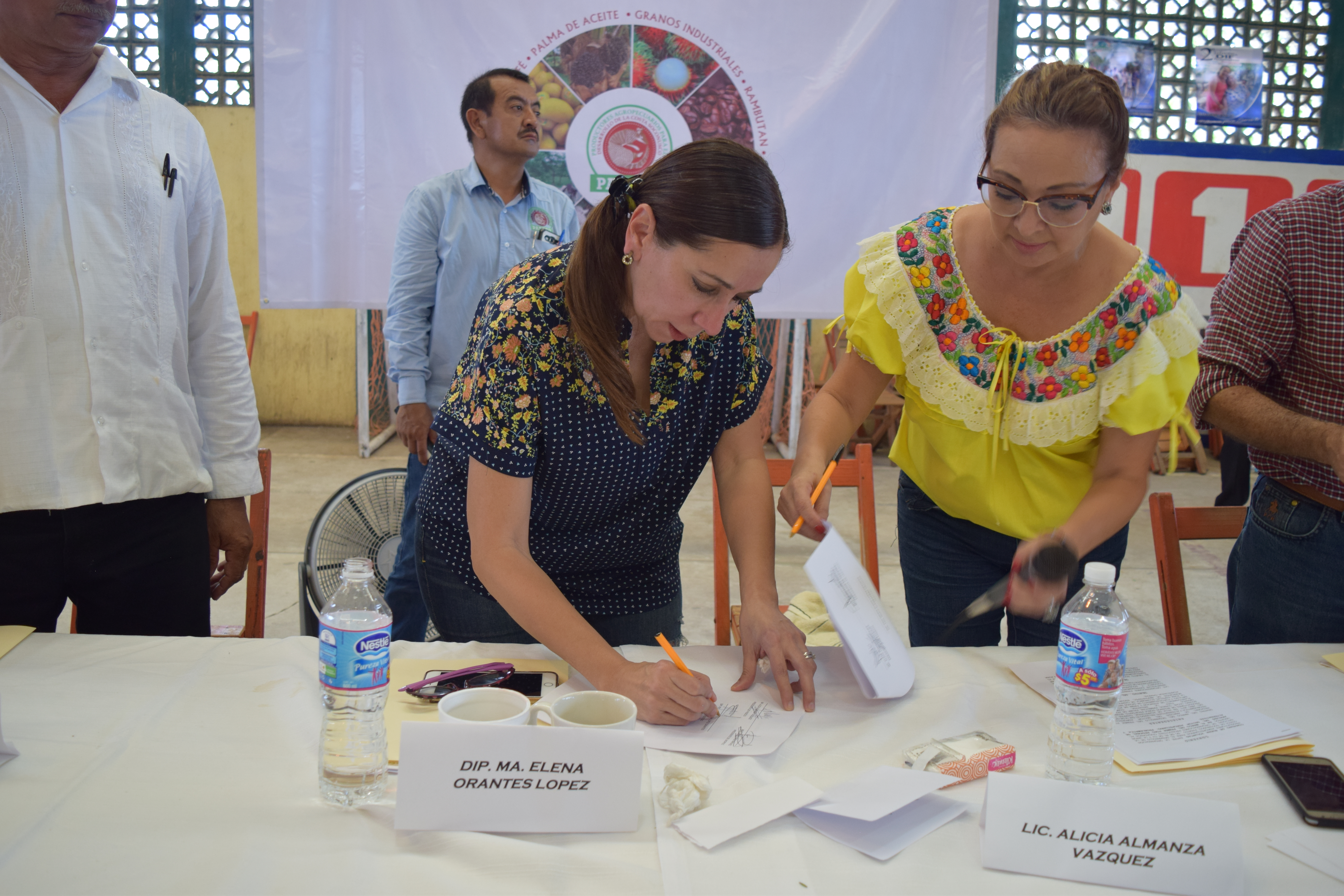 Urge reconstrucción del sector Agropecuario en Chiapas