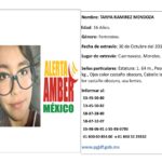 necesitamos de ti ¡Ayúdanos a localizar a esta persona! Tu puedes hacer la diferencia #AlertaAmber.