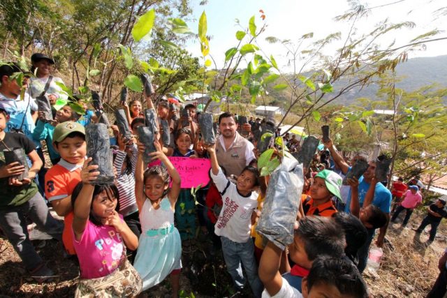 En marcha programa de reforestación autosustentable en Tuxtla