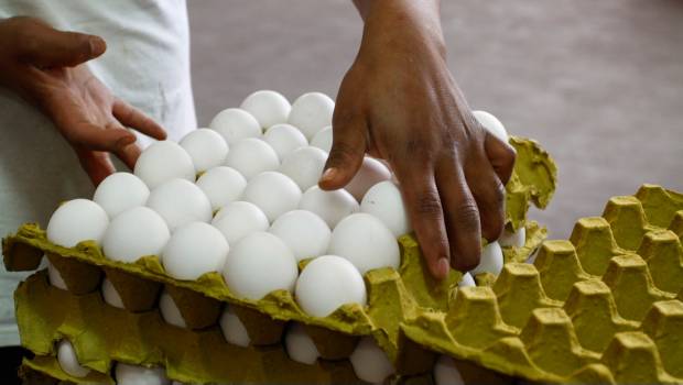 Aumentó entre 3 y 4 pesos el kilo de huevo en un mes