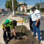 El mejoramiento de la imagen urbana es una realidad en Tuxtla Gutiérrez