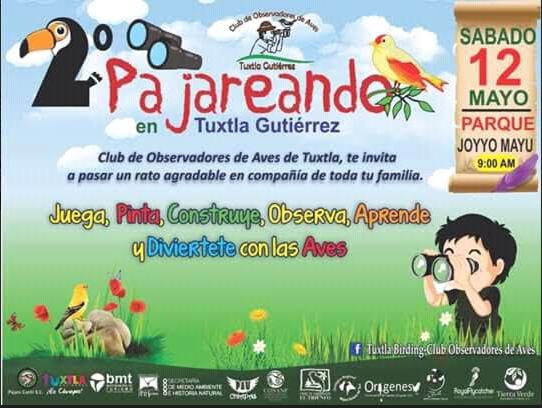 Invita Ayuntamiento de Tuxtla a “Pajarear” en Joyyo Mayu