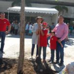 Planta Ayuntamiento de Tuxtla Gutiérrez, árboles en la Explanada del Parque Central