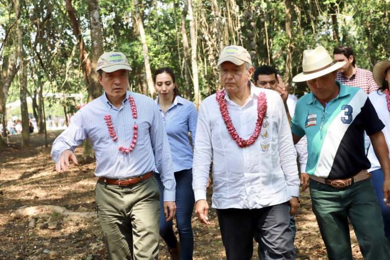 Continúan López Obrador y Escandón Cadenas gira para evaluar avances de Sembrando Vida