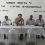 Entrega Mariano Rosales alevines reproductoras a productores de Villaflores para apoyo a economía y alimentación familiar