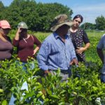 Con la participación de 37 productores locales… PONEN EN MARCHA EL CURSO- TALLER “INJERTACIÓN DE ÁRBOLES FRUTALES”