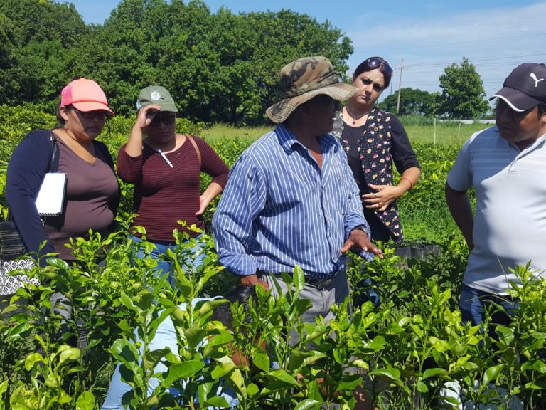 Con la participación de 37 productores locales… PONEN EN MARCHA EL CURSO- TALLER “INJERTACIÓN DE ÁRBOLES FRUTALES”