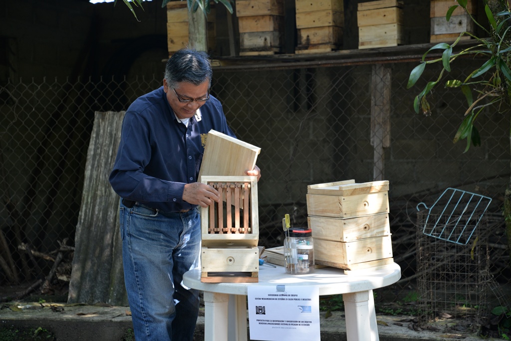 Publicará Investigador de la UNACH  artículo científico sobre abejas nativas del Soconusco