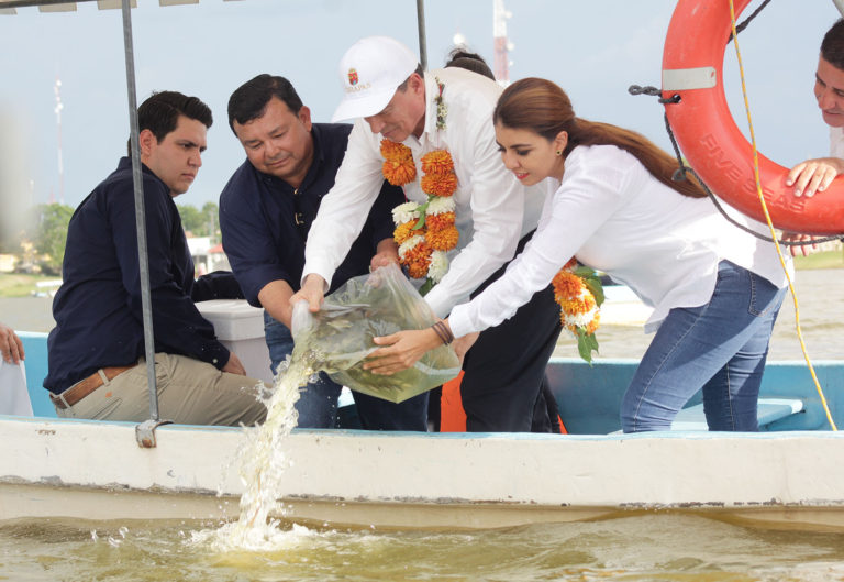 Entrega Rutilio Escandón apoyos para repoblar la producción de mojarra tilapia en Catazajá