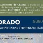 Oferta UNACH Doctorado en Ciencias Agropecuarias y Sustentabilidad