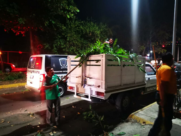 Parques y Jardines trabaja día y noche: Yolanda Correa