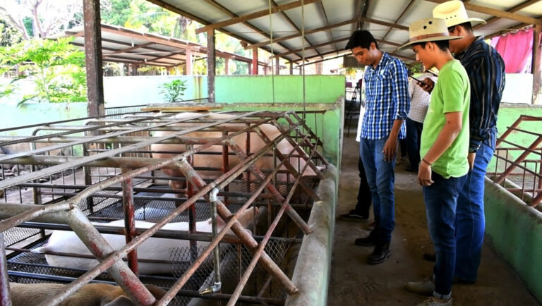 En el Campus IV Impulsan productividad pecuaria en la Facultad de Ciencias Agrícolas de la UNACH