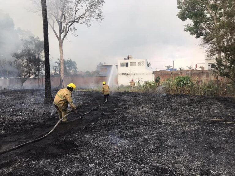 CONTROLA SECRETARÍA MUNICIPAL DE PROTECCIÓN CIVIL INCENDIO AL SUR DE LA CIUDAD