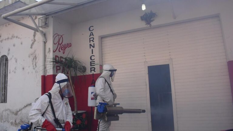 Brigada de Sanitización en Villaflores