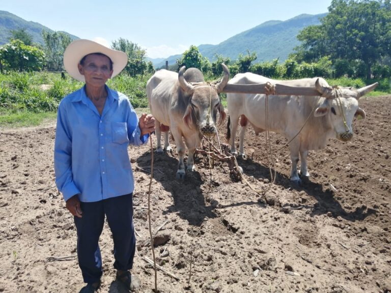 Campesinos de Villaflores iniciaron ciclo de siembra