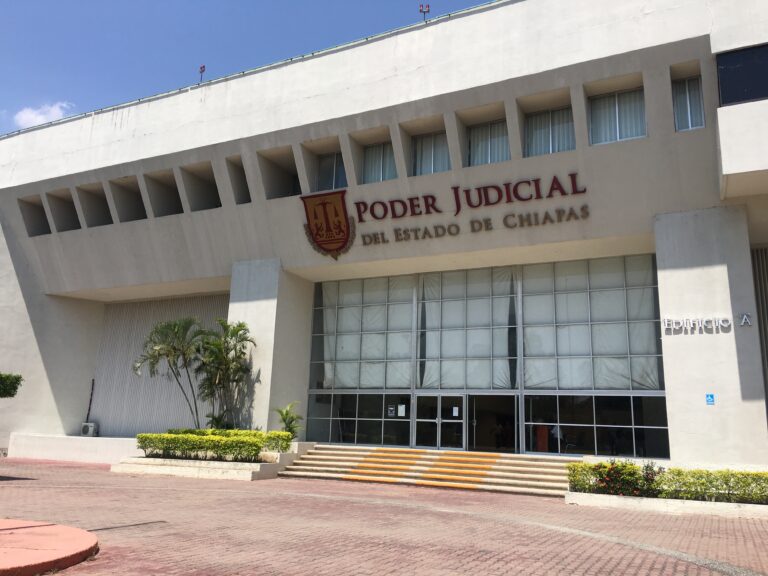 Entrega el Poder Judicial a tres infantes con sus progenitoras