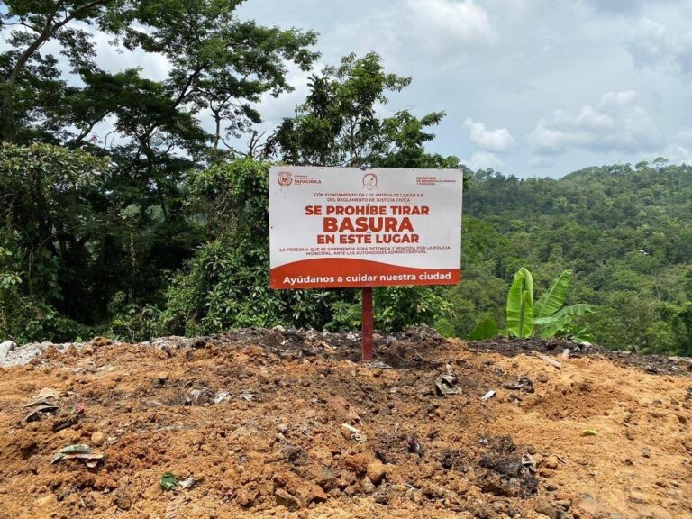 RESTAURAN Y REFORESTAN SITIO DONDE SE CLAUSURÓ TIRADERO A CIELO ABIERTO EN CAMINO A CARRILLO PUERTO