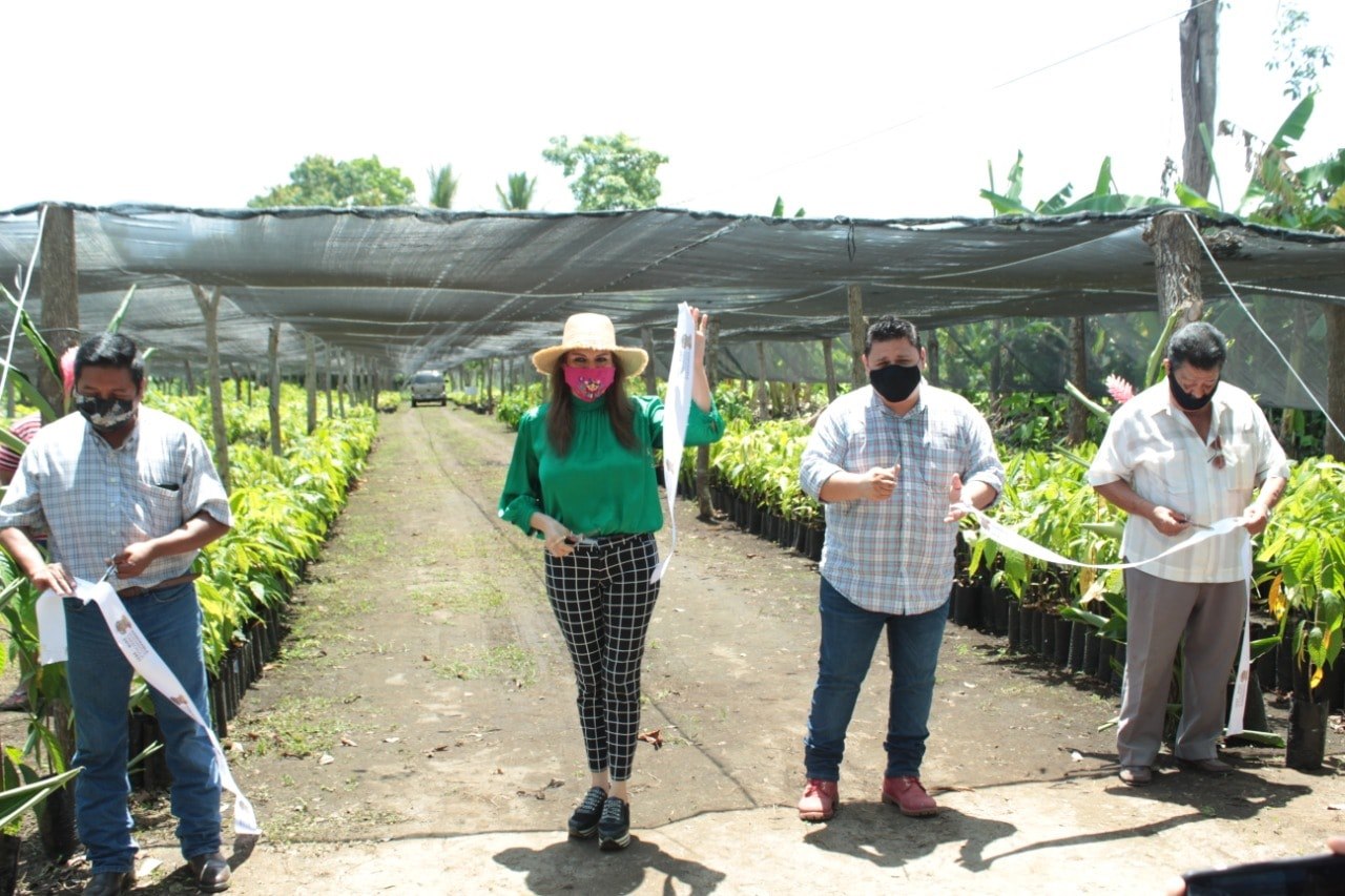 GOBIERNO MUNICIPAL INAUGURA VIVERO COMUNITARIO EN EJIDO HIDALGO