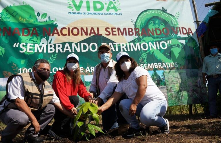 CON PROGRAMA SEMBRANDO VIDA SE IMPULSA LA PRODUCCION DEL CAMPO EN TAPACHULA