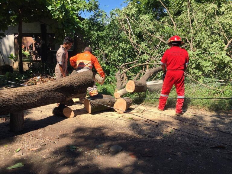 ATIENDEN AUTORIDADES AFECTACIONES CAUSADAS POR FUERTES LLUVIAS Y VIENTOS