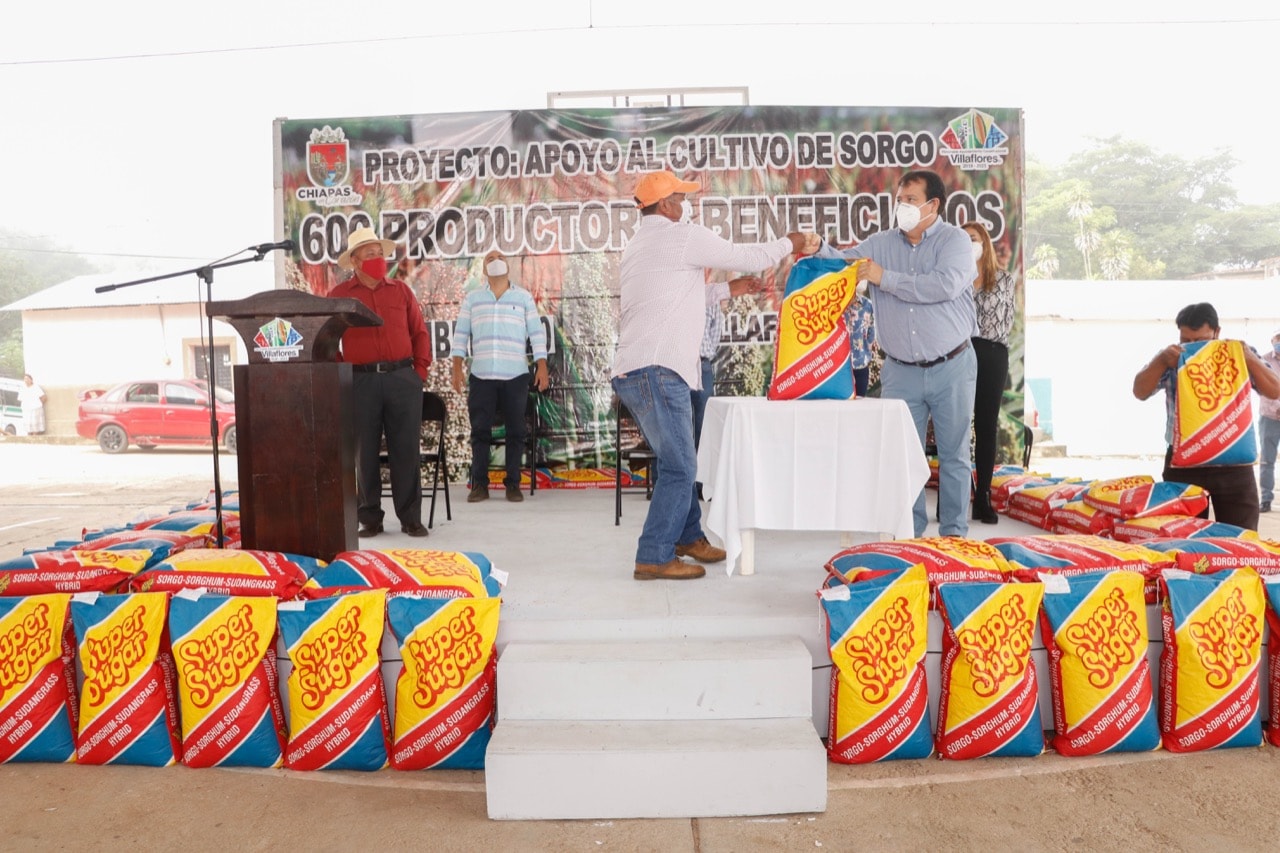 Ayuntamiento de Villaflores continúa con la entrega de semilla de sorgo a productores agropecuarios