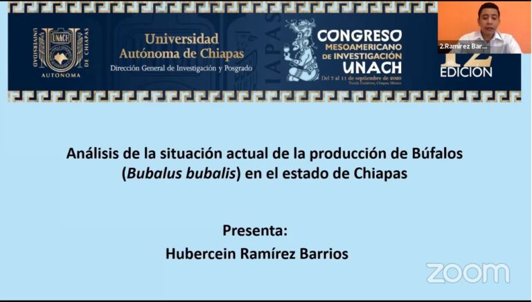 Desarrolla UNACH investigación sobre  producción de búfalos en Chiapas