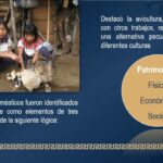 Realizan en la UNACH la investigación sobre la importancia de los animales domésticos en familias campesinas