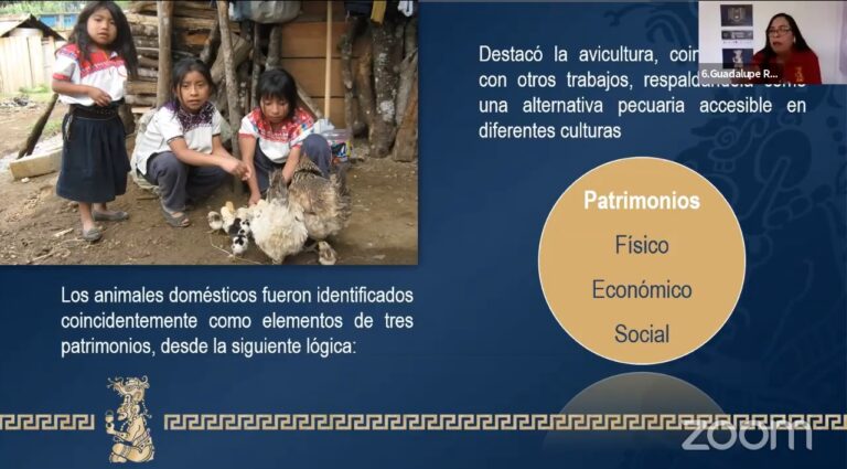 Realizan en la UNACH la investigación sobre la importancia de los animales domésticos en familias campesinas