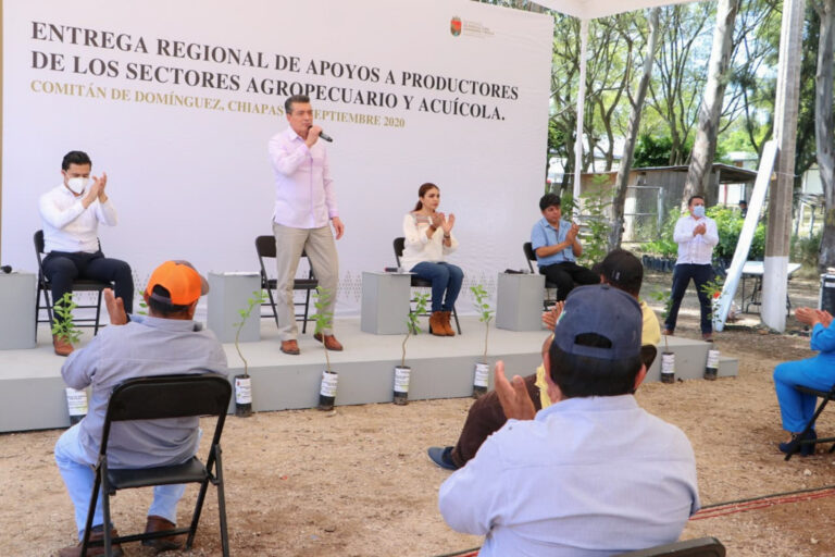 Beneficia Rutilio Escandón a productores de la Meseta Comiteca Tojolabal y la Sierra Mariscal