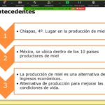 Realizó UNACH estudio sobre las oportunidades económicas que genera la producción de miel