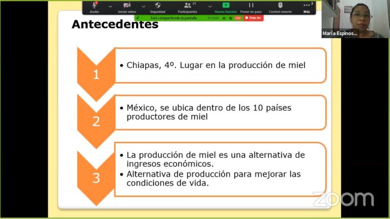 Realizó UNACH estudio sobre las oportunidades económicas que genera la producción de miel