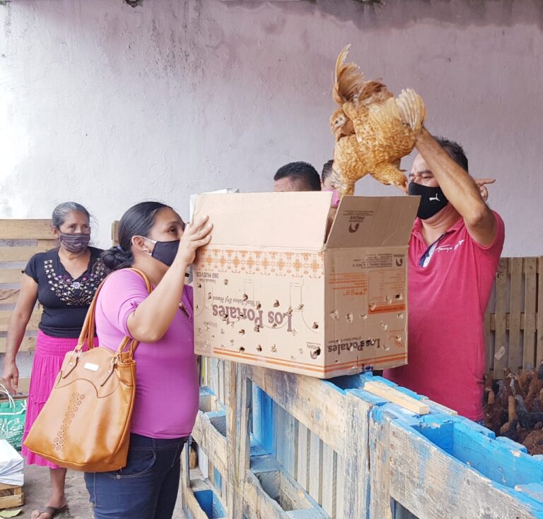 DIF TAPACHULA ENTREGÓ PAQUETES PARA FOMENTAR PRODUCCIÓN DE TRASPATIO