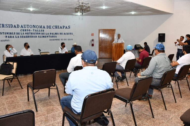 Realiza UNACH curso de manejo de la nutrición del cultivo y desarrollo sostenible de la palma de aceite