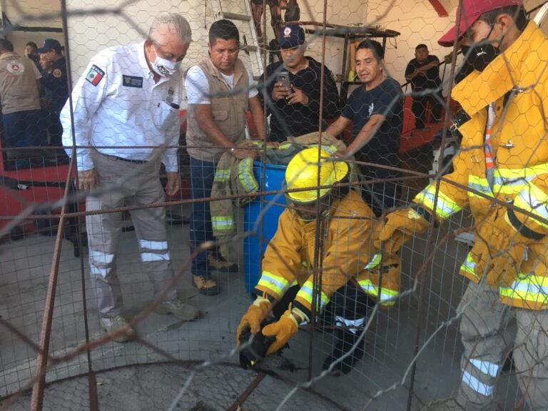 RESGUARDAN ÁGUILA ENCONTRADA EN LA COLONIA “EL RINCONCITO”