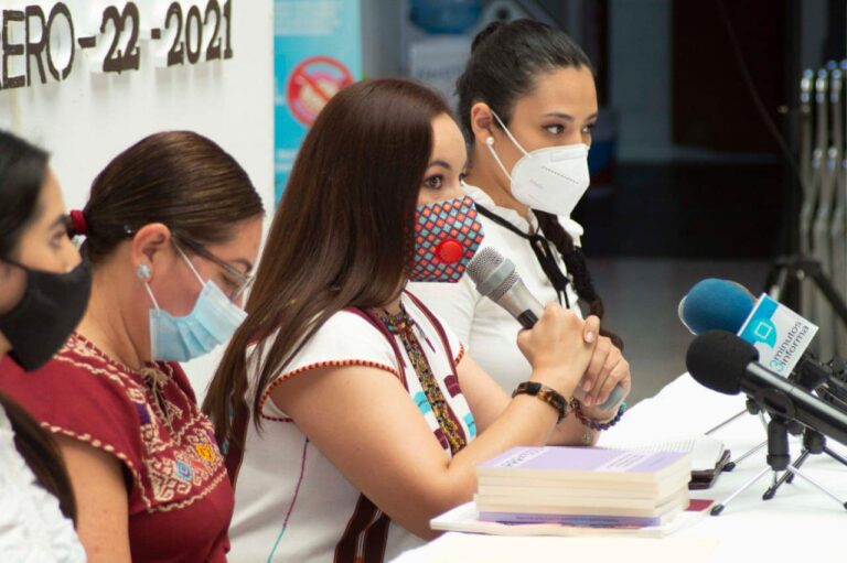 Participación política de mujeres: real, efectiva y protegida: Bustamante Castellanos