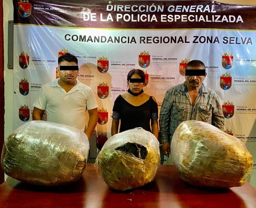 Decomisa FGE 25 kilogramos de marihuana en la Región Selva de Chiapas