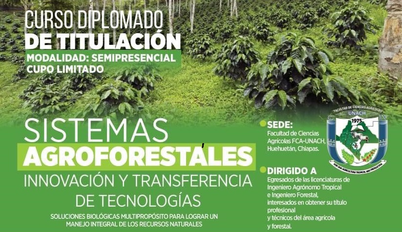 Oferta UNACH Curso Diplomado de Titulación, Sistemas Agroforestales, Innovación y Transferencia de Tecnologías