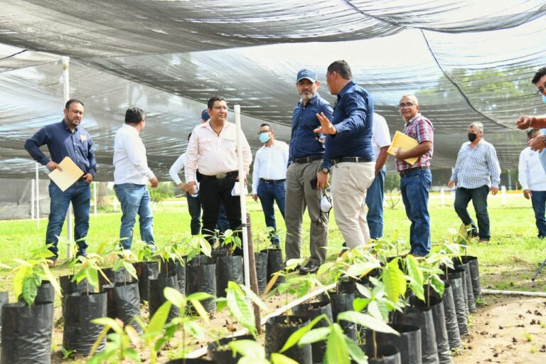 Resaltan relevancia de la formación profesional de los agrónomos en la UNACH