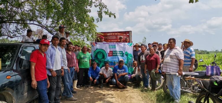 Siembra comunidad UNACH 3 mil árboles de Huanacaxtle  y Ciricote