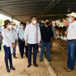 Inaugura Rutilio Escandón el XXIV Concurso Estatal de la Vaca Lechera “Absalón Castellanos Domínguez