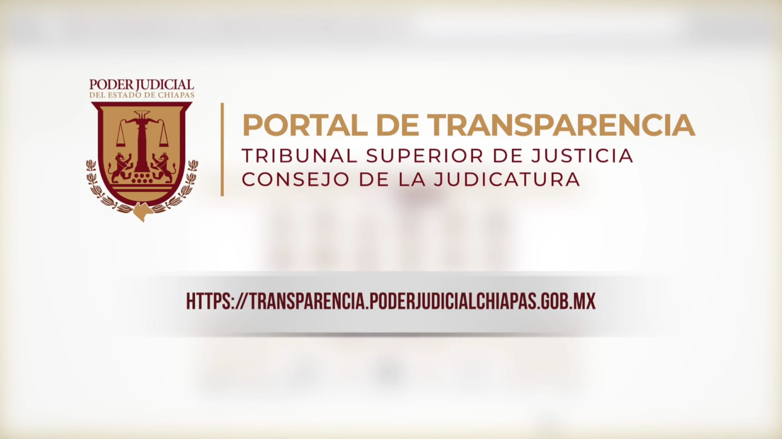 Lanza Poder Judicial Portal Único de Transparencia