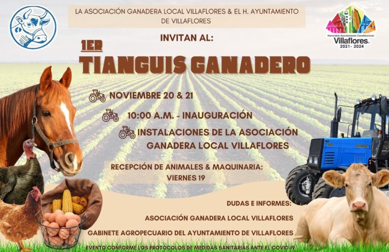 1er Tianguis ganadero en Villaflores