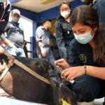 Desarrollan alumnos de la Facultad de Medicina Veterinaria y Zootecnia de la UNACH actividades académicas de campo￼